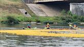 Rubber Duck Regatta begins, over 20,000 ducks dropped into Great Miami River