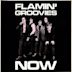 Flamin' Groovies Now