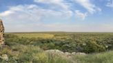 Texas Tech System receives 6,000 acres in state’s “Big Empty” region for research, learning labs