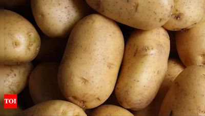 West Bengal govt buys potato directly from farmers | Kolkata News - Times of India