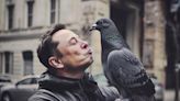 Elon Musk is a pigeon CEO, 'he comes, sh*ts all over us, and goes', says former Tesla manager