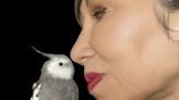 Amy Tan: Luring birds into my backyard turned out to be the easy part