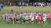 Cross country sectional at Erskine no more as IHSAA revamps tournament