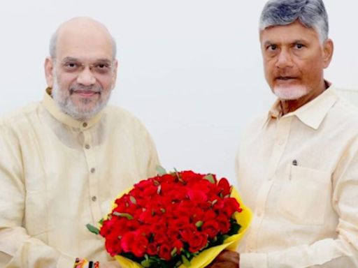 Delhi: Andhra Pradesh CM Chandrababu Naidu Meets Home Minister Amit Shah & Apprises Him Of State's Financial Crisis