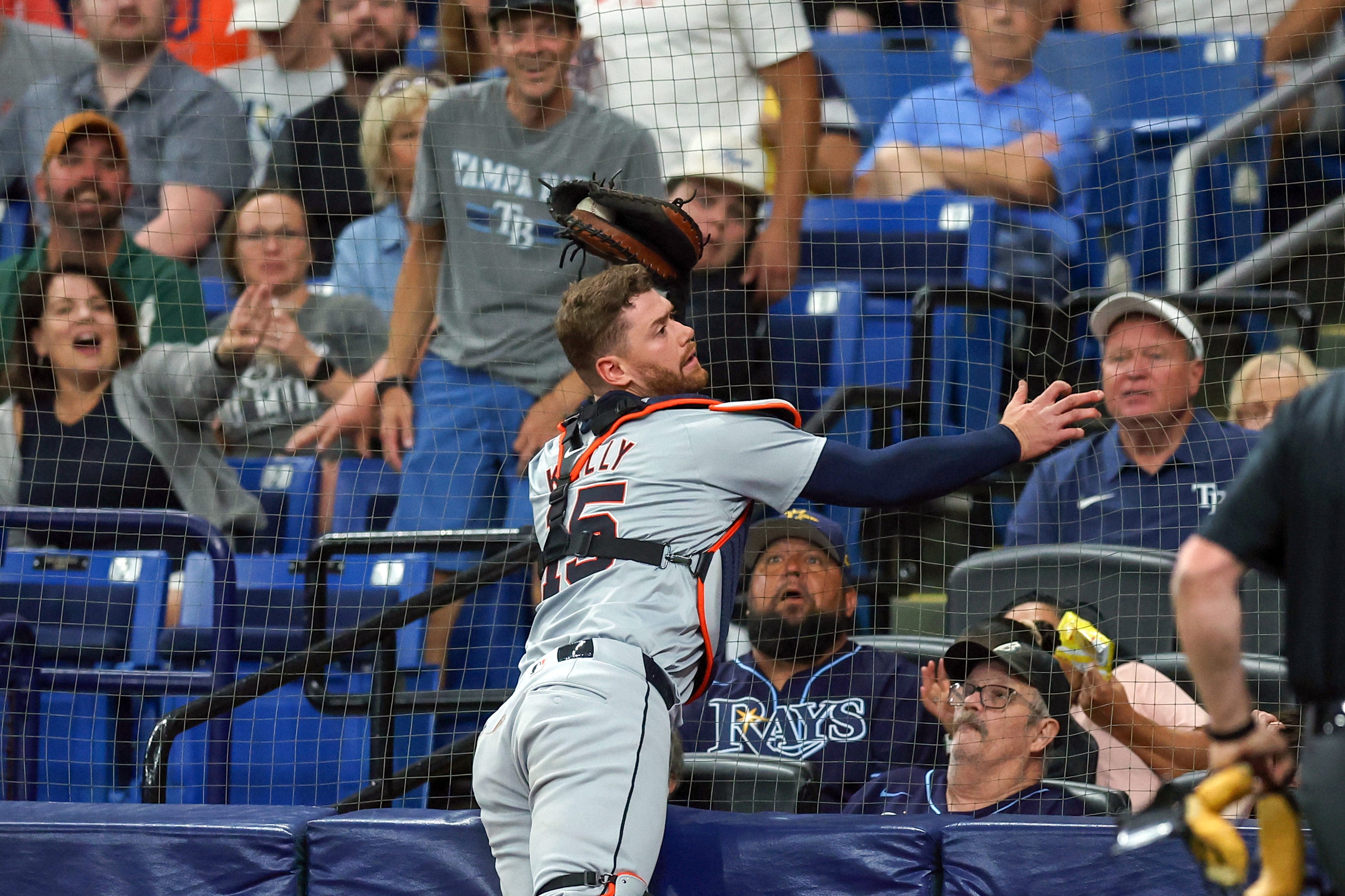 Detroit Tigers' Carson Kelly (ribs) banged up, but 'very available'; Andy Ibáñez close