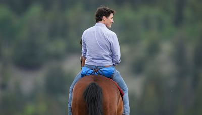 'Get back on the horse': Liberal ministers stand by their man after byelection loss