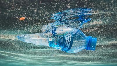 1 Million Plastic Water Bottles Sold Every Minute. Here's Why This Is A Huge Problem