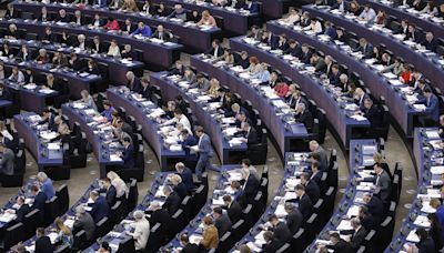 Percentage of women in the European Parliament has fallen for the first time in 45 years