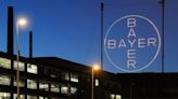 Beneficio neto de Bayer cayó 8% en el primer trimestre de 2024