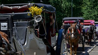 This just in from 1925: Dallas looks to ban horse-drawn carriages on city streets