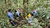 Scientists report trees absorb methane as well