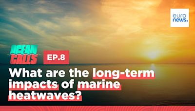 Are marine heatwaves killing our oceans?