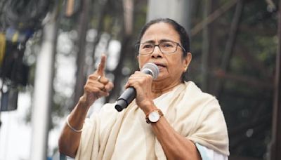 West Bengal CM Mamata Banerjee Holds Meetings With American Embassy And Health Officials