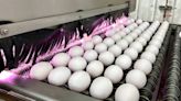 What's keeping egg prices high for Easter? It's not just inflation | Entertainment