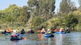 Paddle with the salmon: Forebay Aquatic Center offers educational kayak tours