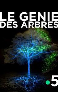 Le génie des arbres