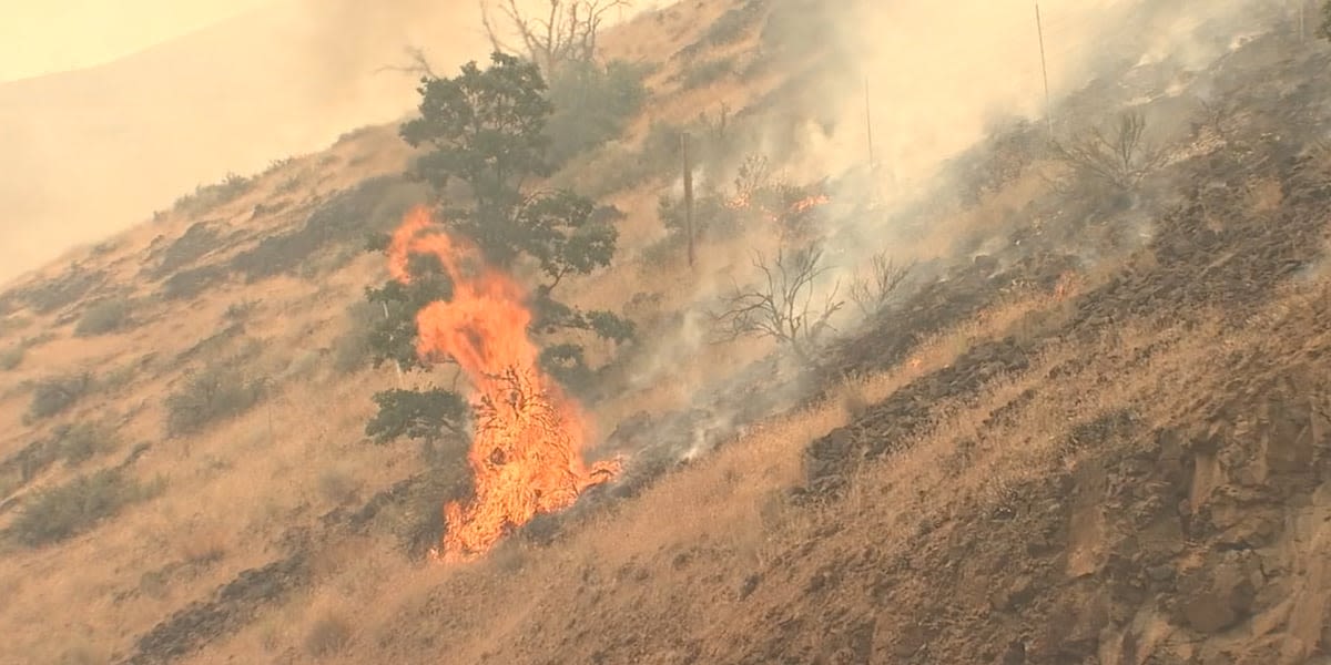 Evacuation levels for Larch Creek Fire expand after 'substantial' fire growth