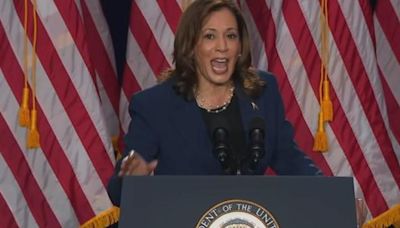 Maryland Democrats say there is "rush of energy" for likely presidential nominee Kamala Harris