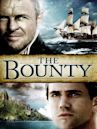 The Bounty (1984 film)