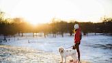 7 Tips to Safely Walk Your Dog This Winter
