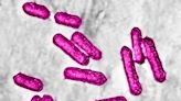 1 Dead, 22 Hospitalized in Multi-State Listeria Outbreak Tied to Florida