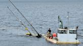 'Today's the day': Work begins to remove sunken sailboat in Saint John River