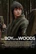 The Boy in the Woods