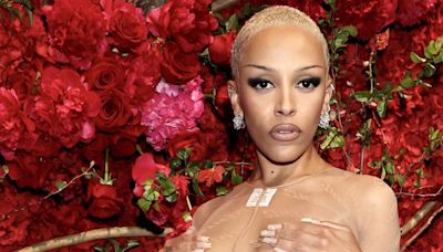Doja Cat Shows It All Off in Sheer Dress for Met Gala 2024 After Party