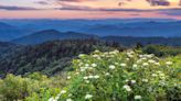 The Ultimate Great Smoky Mountains Travel Guide