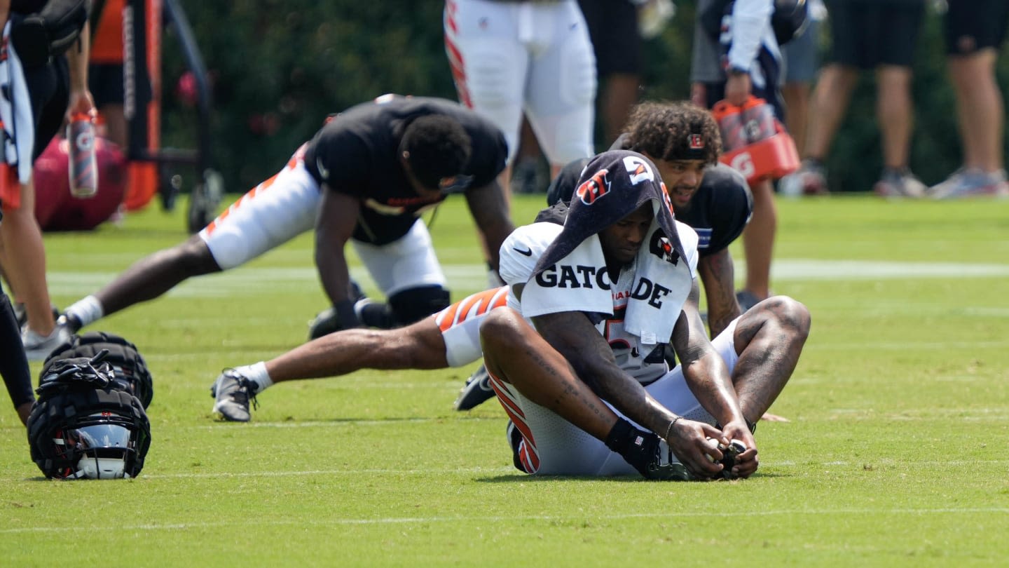 Watch: Cincinnati Bengals Have Scuffle at Training Camp Practice