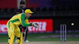 Cricket-Wade named Australia captain for T20 series against India