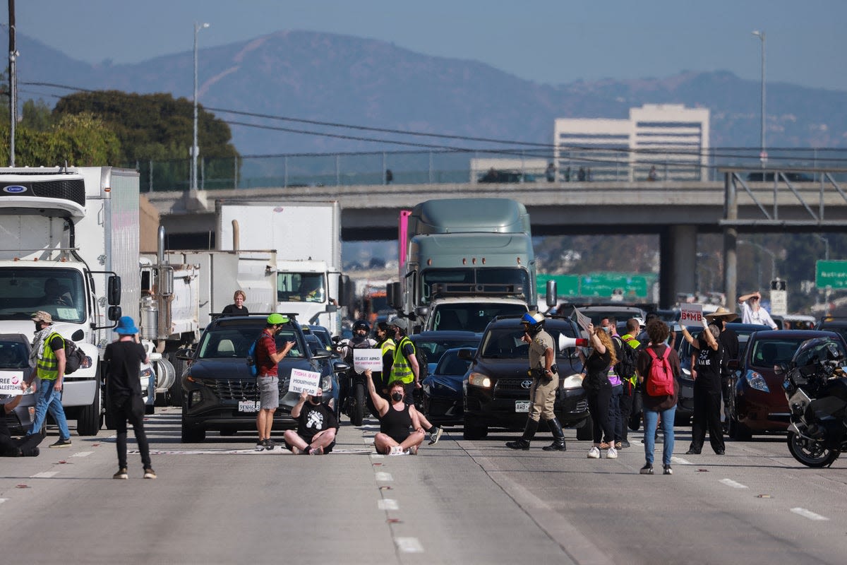 Nine arrested as pro-Palestine protesters shut down rush hour traffic on Los Angeles freeway