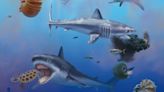 Exceptional Fossils Spill The Secrets Of “Enigmatic” 10-Meter Sharks Found In Mexico