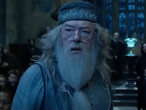 ... Reminiscing Over The Time That Dumbledore... My Face': A Harry Potter Actress Did Not ...