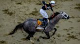 Seize The Grey thwarts Mystik Dan in Preakness Stakes at Pimlico