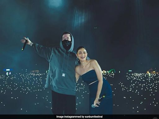 Alia Bhatt X Alan Walker. A Collab We Didn't Know We Needed