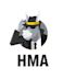 HMA (VPN)