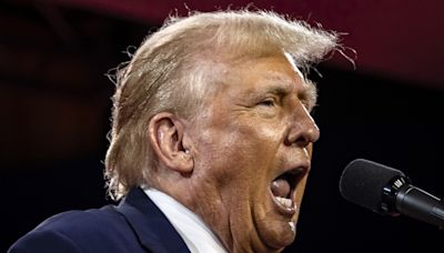 Donald Trump's gag order upends debate