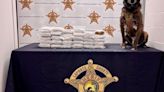 Texas pair nabbed on toll road with bricks of drugs, cops say