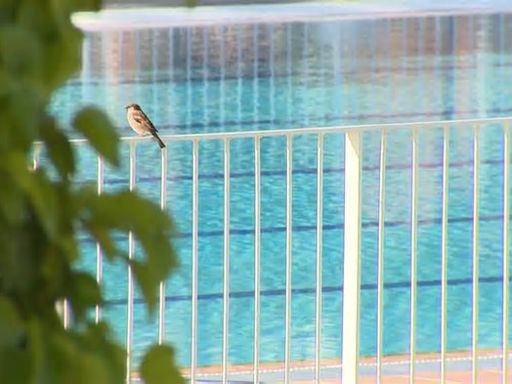 Las piscinas de verano de Peñuelas, Vicente del Bosque, Luis Aragonés y Vallecas, cerradas este verano por reformas