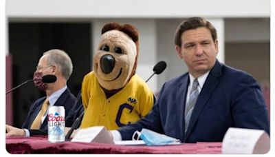 Cal football fans take over social media with 'woke agenda' memes