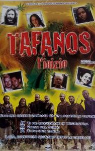 Tafanos - L'inizio