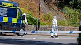 Clifton Suspension Bridge incident: Eyewitness tells of moment man ran off after dumping suitcases