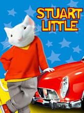 O Pequeno Stuart Little