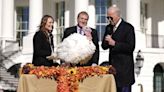 What's next for turkeys after they receive presidential pardon?