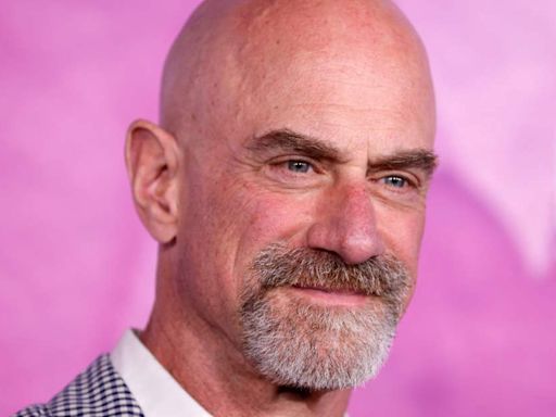 Christopher Meloni Makes the Big Bucks As Stabler