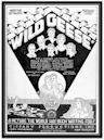 Wild Geese (film)