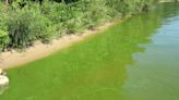 Harmful algae bloom confirmed at Duck Lake in Cheshire Township
