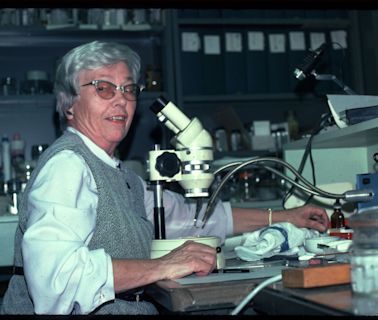 Dr. Marian Pettibone Discovered and Described New Forms of Oceanic Life