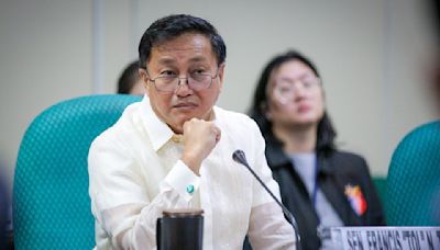 Francis Tolentino seeks second term as senator